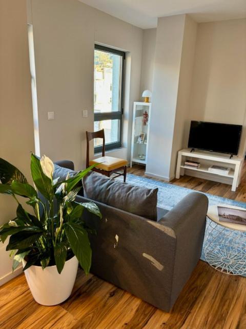 Three Little Birds Apartment Guimaraes Ngoại thất bức ảnh